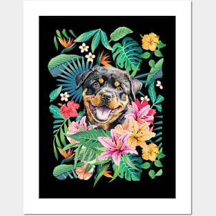 Tropical Rottweiler Puppy Posters and Art